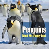 Children's Bird Books - Penguins - Meet Mr. Flappy Feet