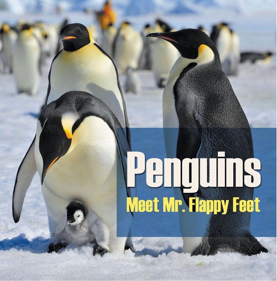Children's Bird Books - Penguins - Meet Mr. Flappy Feet - cover