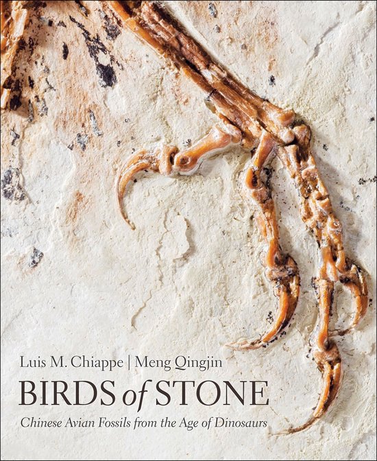 Birds of Stone - cover