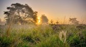 Fotobehang heideveld zonsopkomst in de mist 450 x 260 cm - € 295,--