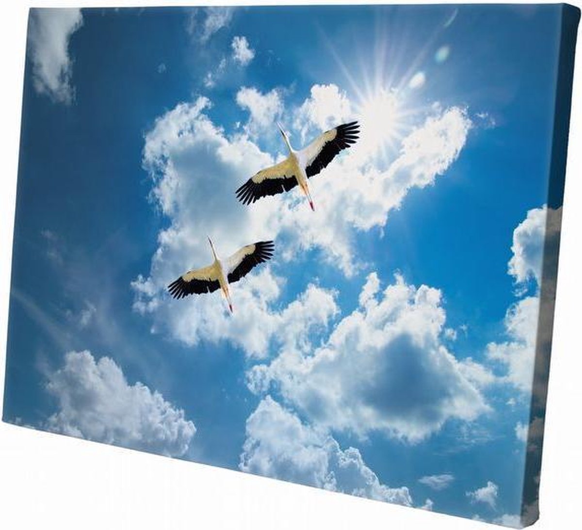 Ooievaars | 60 x 40 CM | Wanddecoratie | Dieren op canvas |Schilderij | Canvasdoek | Schilderij op canvas