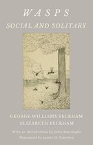Wasps - Social and Solitary; With an Introduction by John Burroughs - Illustrated by James H. Emerton