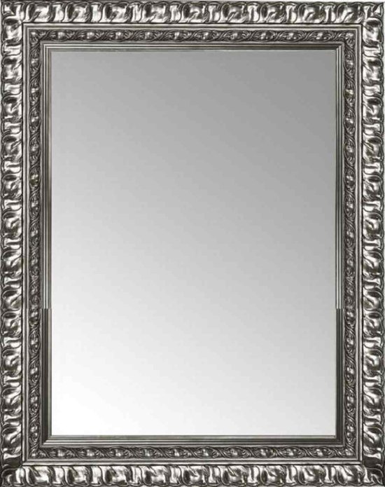 Elk jaar mannelijk Revolutionair Brocant Zilveren Spiegel 58x78 cm – Eliza – Gerecycled – Chique | bol.com