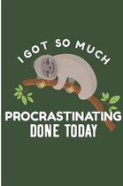 I Got So Much Procrastinating Done Today: Sleeping Sloths Blank Lined Note Book