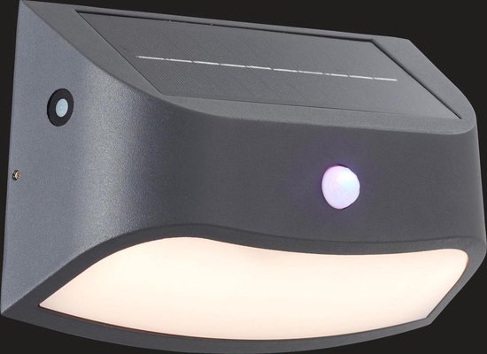 Cyclopen campagne Zilver AEG Lamp Payton LED applique extérieure détecteur de mouvement noir /  argent | 1x LED... | bol.com