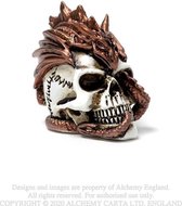 Alchemy Gothic Beeld/figuur Dragon Keepers Skull Creme