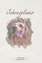 Jahresplaner 2020: Taschenkalender A5 - Terminkalender 2020 - Jahresplaner - Wochenplaner - modisch & schlicht - Organizer