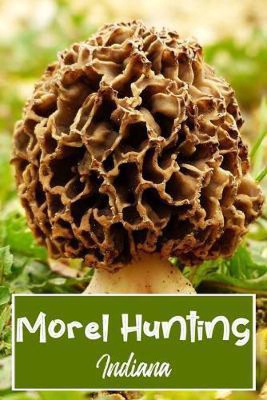 Morel Hunting Indiana, Wandering Trails 9781691637324 Boeken