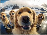 Poster Glanzend – Selfie van Groep Golden Retriever Honden in IJslandschap - 80x60 cm Foto op Posterpapier met Glanzende Afwerking