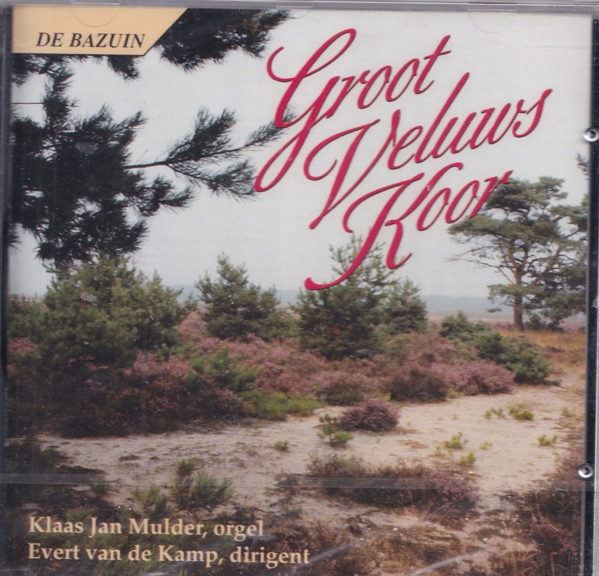 Groot Veluws koor o.l.v. Evert van de Kamp - Klaas Jan Mulder bespeelt het orgel