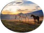 Dibond Ovaal - Paarden in Weiland met Zonsopgang - 40x30 cm Foto op Ovaal (Met Ophangsysteem)