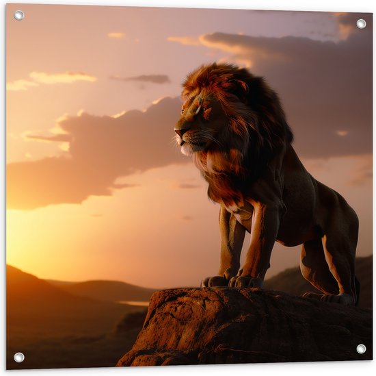 Tuinposter – Leeuw op Rots met Zonsondergang - 80x80 cm Foto op Tuinposter (wanddecoratie voor buiten en binnen)