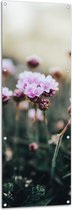 Tuinposter – Bloemen - Veld - Landschap - Natuur - Roze - 50x150 cm Foto op Tuinposter (wanddecoratie voor buiten en binnen)
