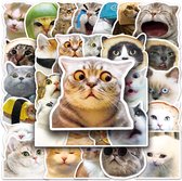 Funny Chats Autocollants - Ensemble d'autocollants Meme cats - 50 pièces - Pour ordinateur portable, smartphone, mur. Pour enfants et adultes.