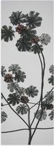Poster Glanzend – Takken - Bloemen - Bladeren - 30x90 cm Foto op Posterpapier met Glanzende Afwerking