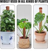 Plantenondersteuning - kamerplant set - planten decoratie - kunstboom - klimhulp - plantenhouder