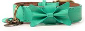 Dwam Halsband Boomer Turquoise - Hondenhalsband - 49-56x4 cm