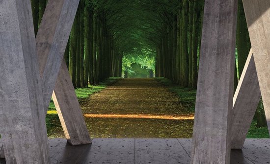 Foto: Fotobehang vlies behang tunnel van bomen terraszicht 3d 312 x 219 cm