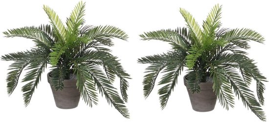Kievano Set van 4 kunstplanten in zwarte pot, 18-23 cm, kleine Kievano Set van 4 kunstplanten in zwarte pot, 18-23 cm, kleine