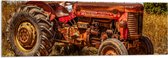 Acrylglas - Oude Verroeste Rode Tractor in het Weiland - 120x40 cm Foto op Acrylglas (Met Ophangsysteem)