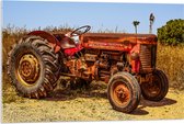 Acrylglas - Oude Verroeste Rode Tractor in het Weiland - 90x60 cm Foto op Acrylglas (Met Ophangsysteem)