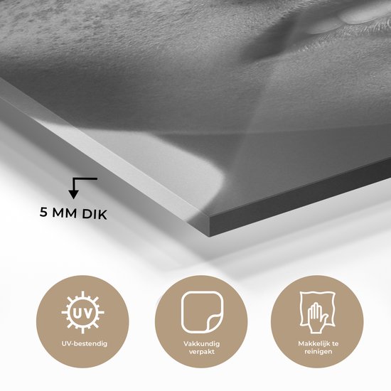 Peinture sur verre - Femme - Lèvres - Taches de rousseur - Zwart - Wit - Peinture sur verre - Plaque de Verres - 100x150 cm - Photo sur verre