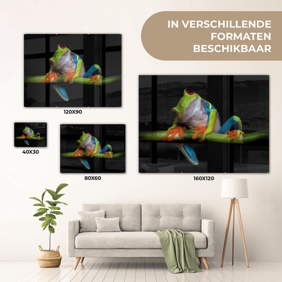 Peinture sur verre - Grenouille - Animaux - Vert - Oranje - Rouge - Photo sur verre - Peinture sur verre - 120x90 cm - Décoration murale