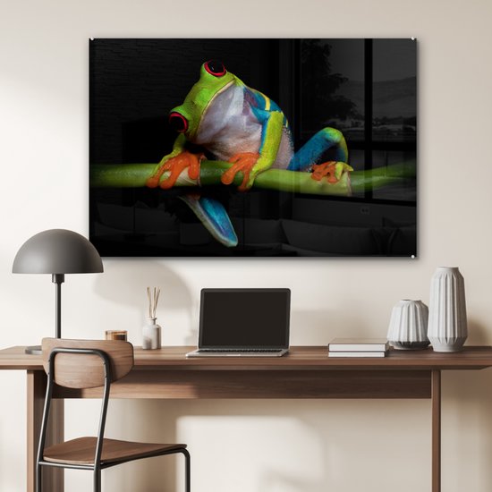 Peinture sur verre - Grenouille - Animaux - Vert - Oranje - Rouge - Photo sur verre - Peinture sur verre - 90x60 cm - Décoration murale