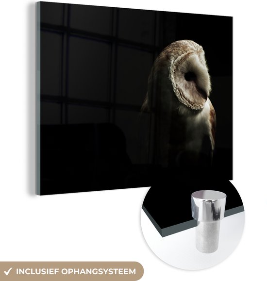 MuchoWow® Glasschilderij 160x120 cm - Schilderij acrylglas - Uil - Vogel - Portret - Foto op glas - Schilderijen