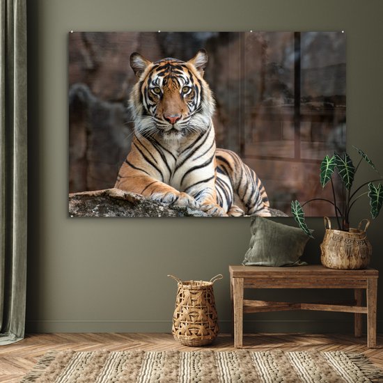 MuchoWow® Peinture sur verre - Tigre - Rocher - Montagnes - 180x120 cm - Peintures sur verre acrylique - Photo sur Glas