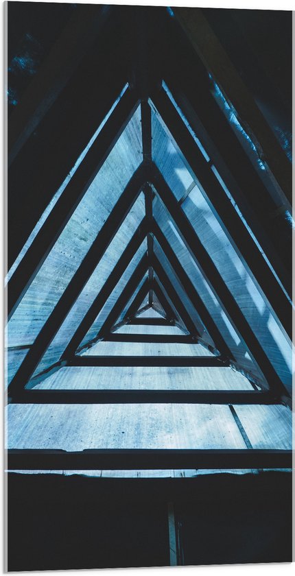 Acrylglas - Diep Driehoekig Vlak - 50x100 cm Foto op Acrylglas (Met Ophangsysteem)