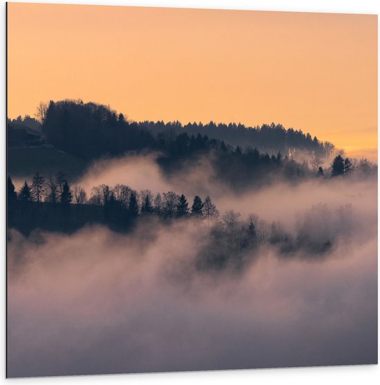 Dibond - Bergen - Bomen - Wolken - Mist - Huisje - 100x100 cm Foto op Aluminium (Met Ophangsysteem)