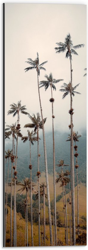 Dibond - Bergen - Bomen - Palmbomen - Bosjes - 20x60 cm Foto op Aluminium (Met Ophangsysteem)