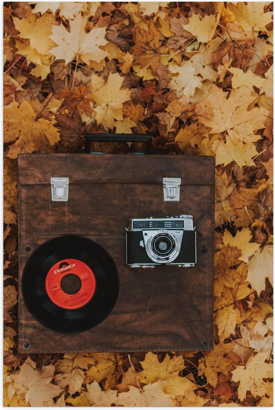 Poster (Mat) - Muziekplaat en Vintage Camera op Koffer tussen de Herfstbladeren - 60x90 cm Foto op Posterpapier met een Matte look