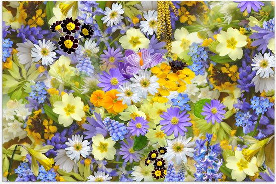 Poster Glanzend – Bloemen - Natuur - Kleur - 90x60 cm Foto op Posterpapier met Glanzende Afwerking