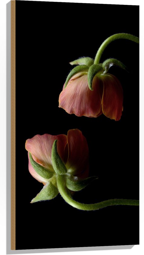 Hout - Bloemen - Roze - Bladeren - Natuur - 50x100 cm - 9 mm dik - Foto op Hout (Met Ophangsysteem)