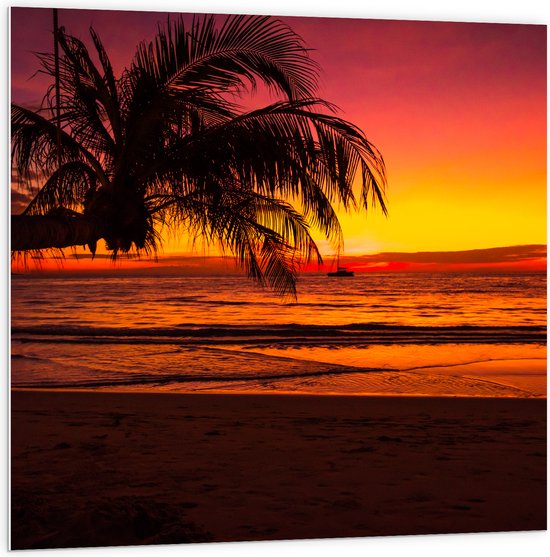 PVC Schuimplaat- Silhouet van Palmboom Hangend over het Strand tijdens Rozekleurige Zonsondergang - 100x100 cm Foto op PVC Schuimplaat