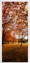 Sticker pour porte Automne - Feuilles d'automne - Nature - 90x235 cm - Affiche de porte