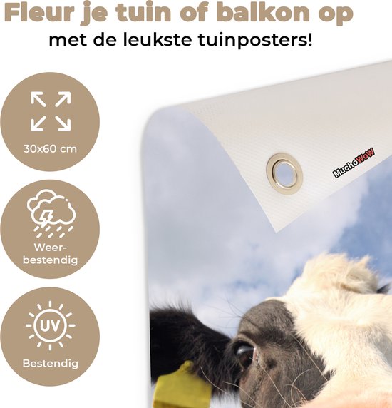 Poster de jardin Vache - Ferme - Herbe - Animaux - 30x60 cm - Toile jardin - Poster extérieur