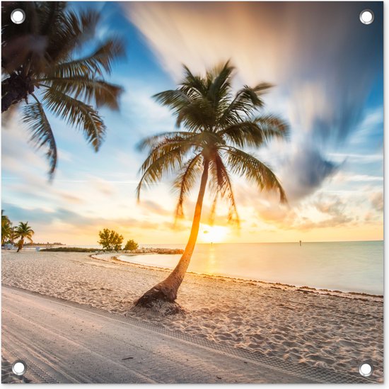 Zonsondergang - Strand - Palmboom