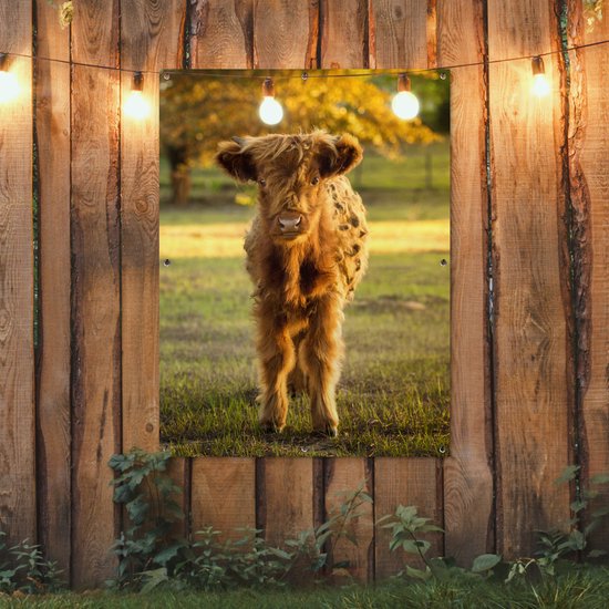 Affiche jardin - Toile Posters de jardin extérieur - Highlander écossais - Veau - Automne - 90x120 cm - Jardin