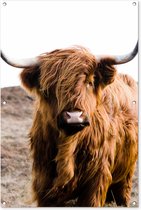 Affiche jardin - Toile jardin - Posters de jardin extérieur - Highlander écossais - Paysage - Vache - Marron - Animaux - Nature - 80x120 cm - Jardin