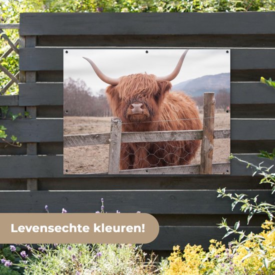 Affiche de jardin - Toile de jardin - Posters de jardin extérieur - Highlander écossais - Herbe - Clôture - 120x90 cm - Jardin