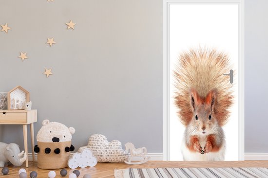 Sticker de porte Écureuil - Animaux - Nature - Oranje - Wit - 85x205 cm - Poster de porte