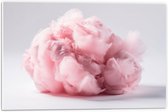 PVC Schuimplaat - Wolk van Zoete Roze Suikerspin - 60x40 cm Foto op PVC Schuimplaat (Met Ophangsysteem)