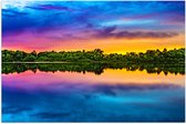 Poster (Mat) - Water - Meer - Bomen - Bossen - Kleuren - 75x50 cm Foto op Posterpapier met een Matte look