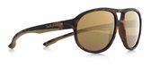 Red Bull Spect Eyewear Zonnebril Bail Piloot Bruin/bruin Unisex