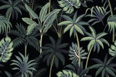 Fotobehang Bomen En Palmbladeren - Vliesbehang - 360 x 240 cm