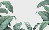 Fotobehang Tropical Leaves Frame - Vliesbehang - 450 x 300 cm