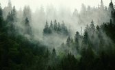 Fotobehang Bos In Mist - Vliesbehang - 400 x 280 cm